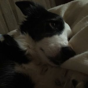 Meet your Posher, Kylie